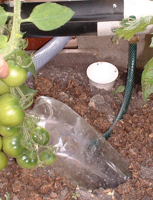 Close-up shot of greenhouse watering system 