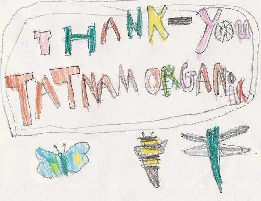 Thank you card from Matt at Hillborne school