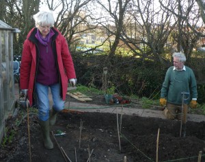 Harriet forging a new path