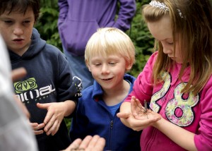 Open day - Mark's bugs are a hit with the kids