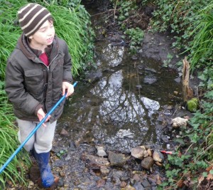 Dante inspecting the frogspawn in the stream