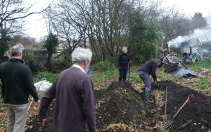 Theresas Permaculture Raised Beds