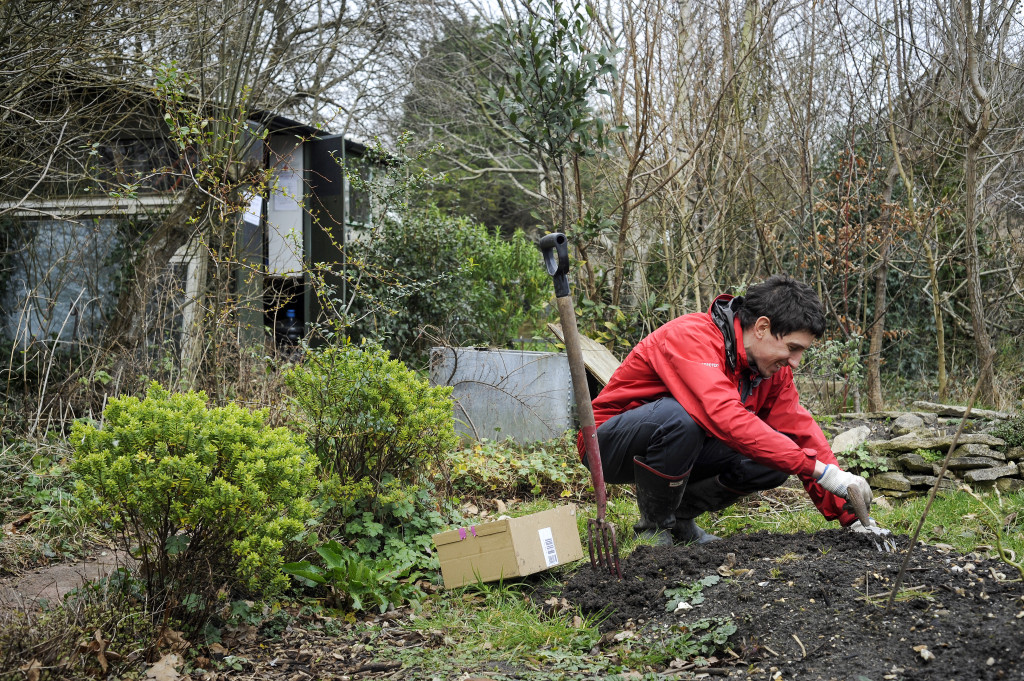 Marcos planting onions