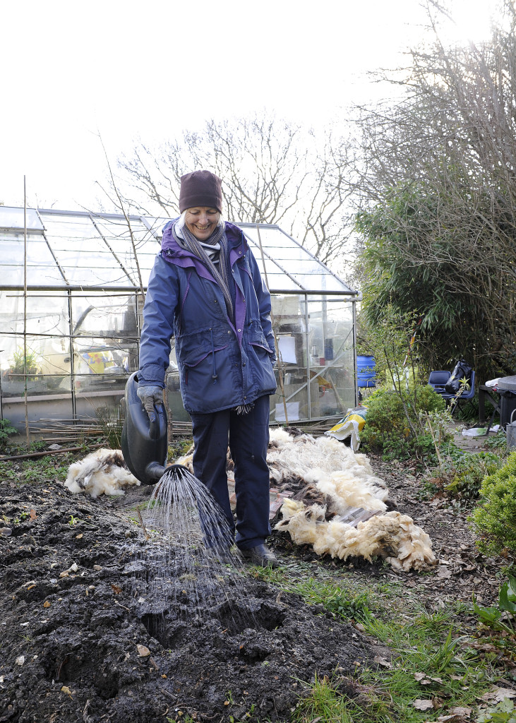 Jan watering the bed before it gets covered by manure and sheep's wool