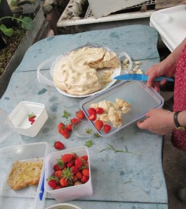 pavlova with home grown strawberries